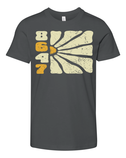 8647 Anti Trump Premium Youth T Shirt